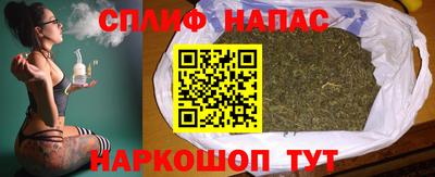 стаф Будённовск