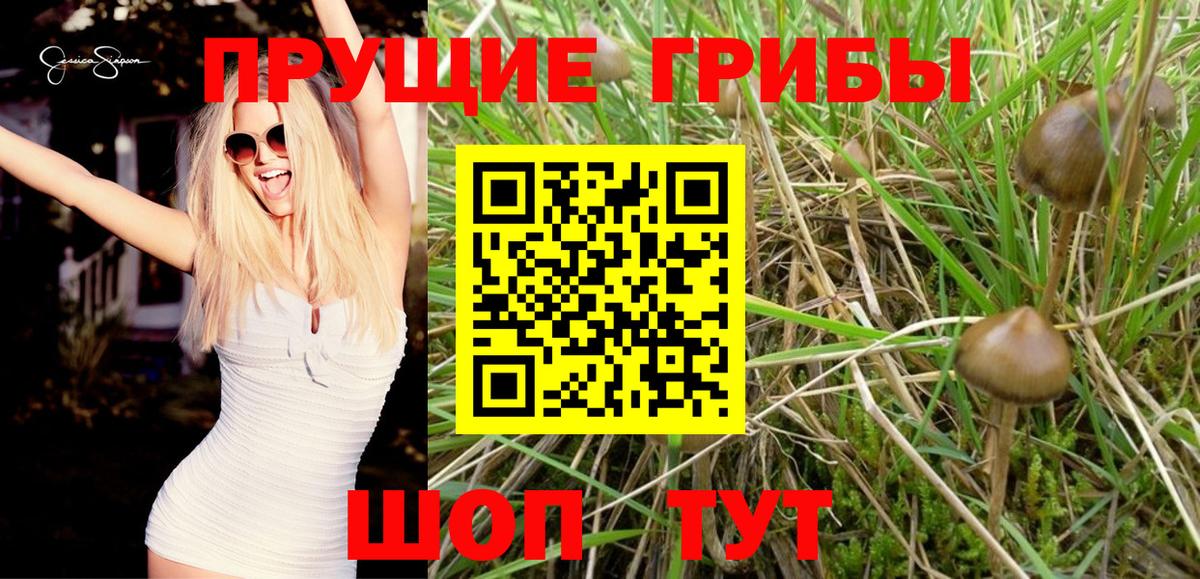 Псилоцибиновые грибы GOLDEN TEACHER Орск