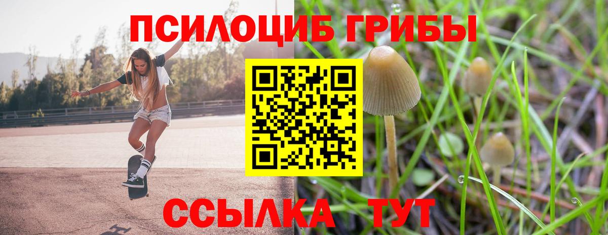Псилоцибиновые грибы GOLDEN TEACHER  Вход с VPN  Псилоцибиновые грибы Cubensis  Орск 